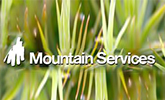 IRATA Member Mountain Services
